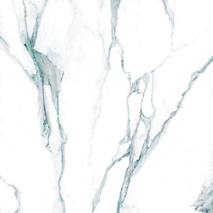 Calacatta Fantasy Green Polished 48x48 Porcelain Tile