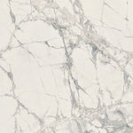 Load image into Gallery viewer, Prexious Mountain Treasure Glossy 48x48 Porcelain Tile
