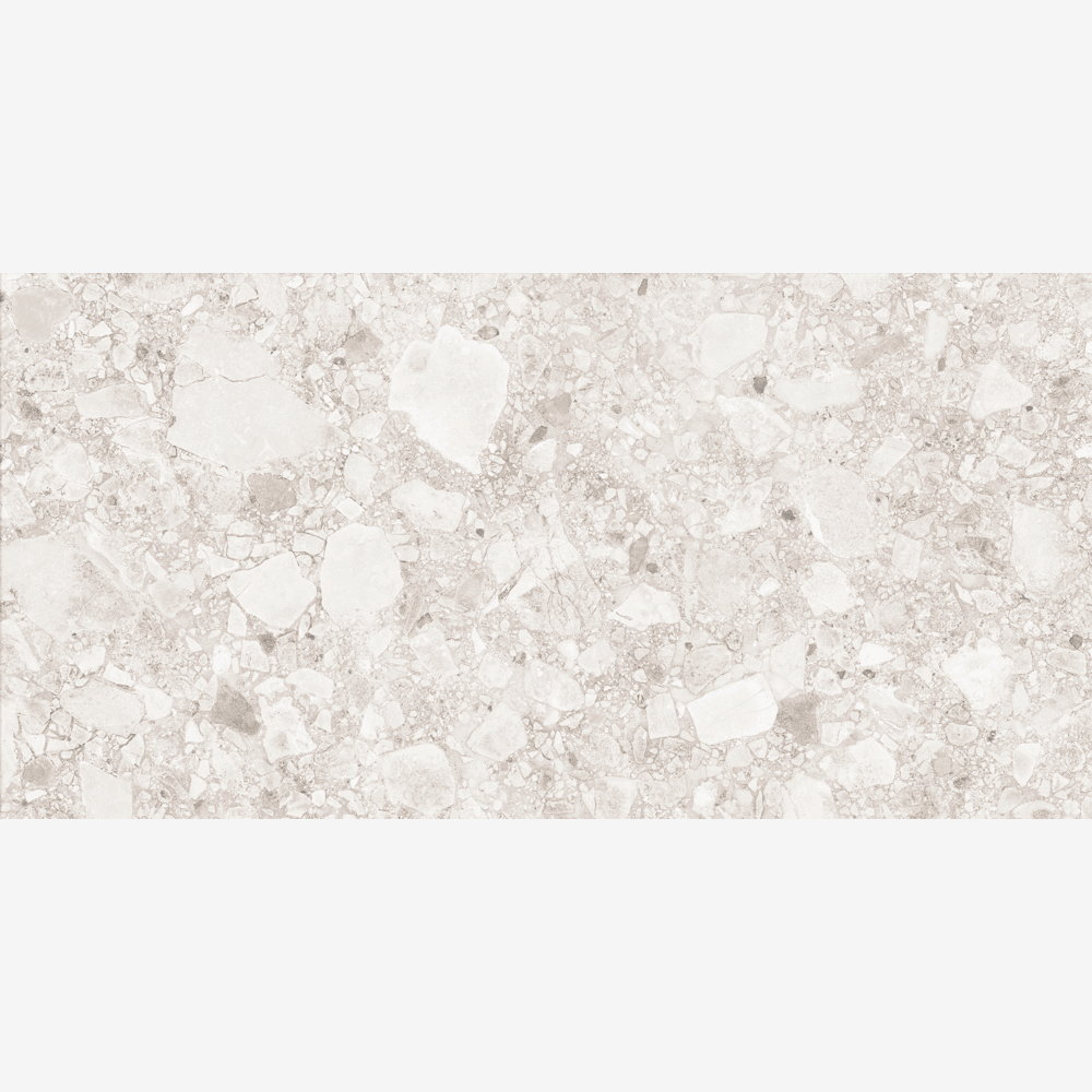 Arden Bone 24x48 R Porcelain Tile Matte