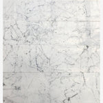 Load image into Gallery viewer, Statuario White 12x12 Polished Marble Field Tile
