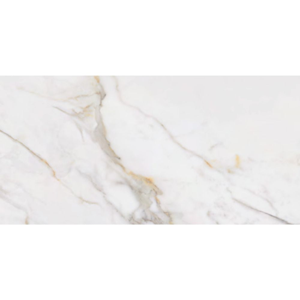 Orovia PO 12x24 Porcelain Tile