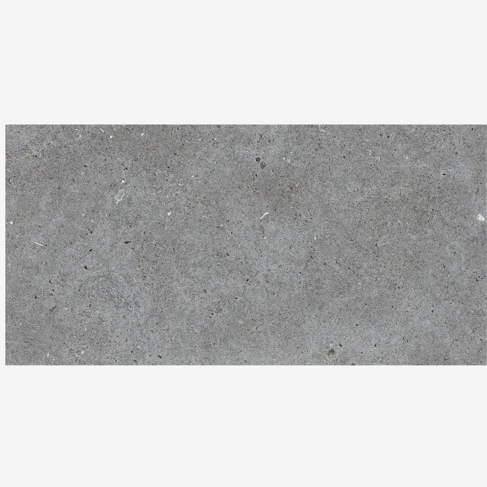 Salamanca Graphite 24x48 Basalt Look Porcelain Tile