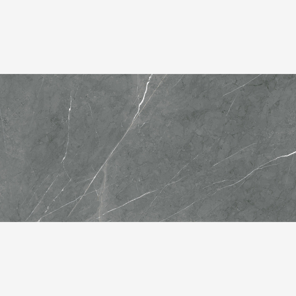 Willow Silver 24x48 R Porcelain Tile Matte/Polished
