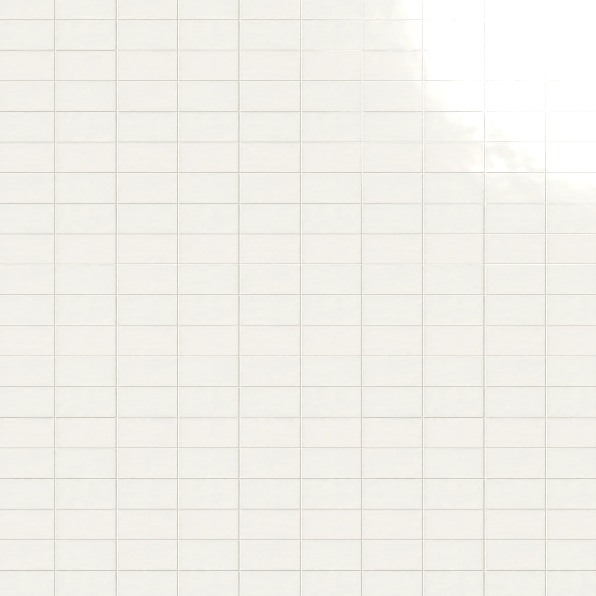 St Lucia Blanco 2.5 x 5 Ceramic Tile Glossy