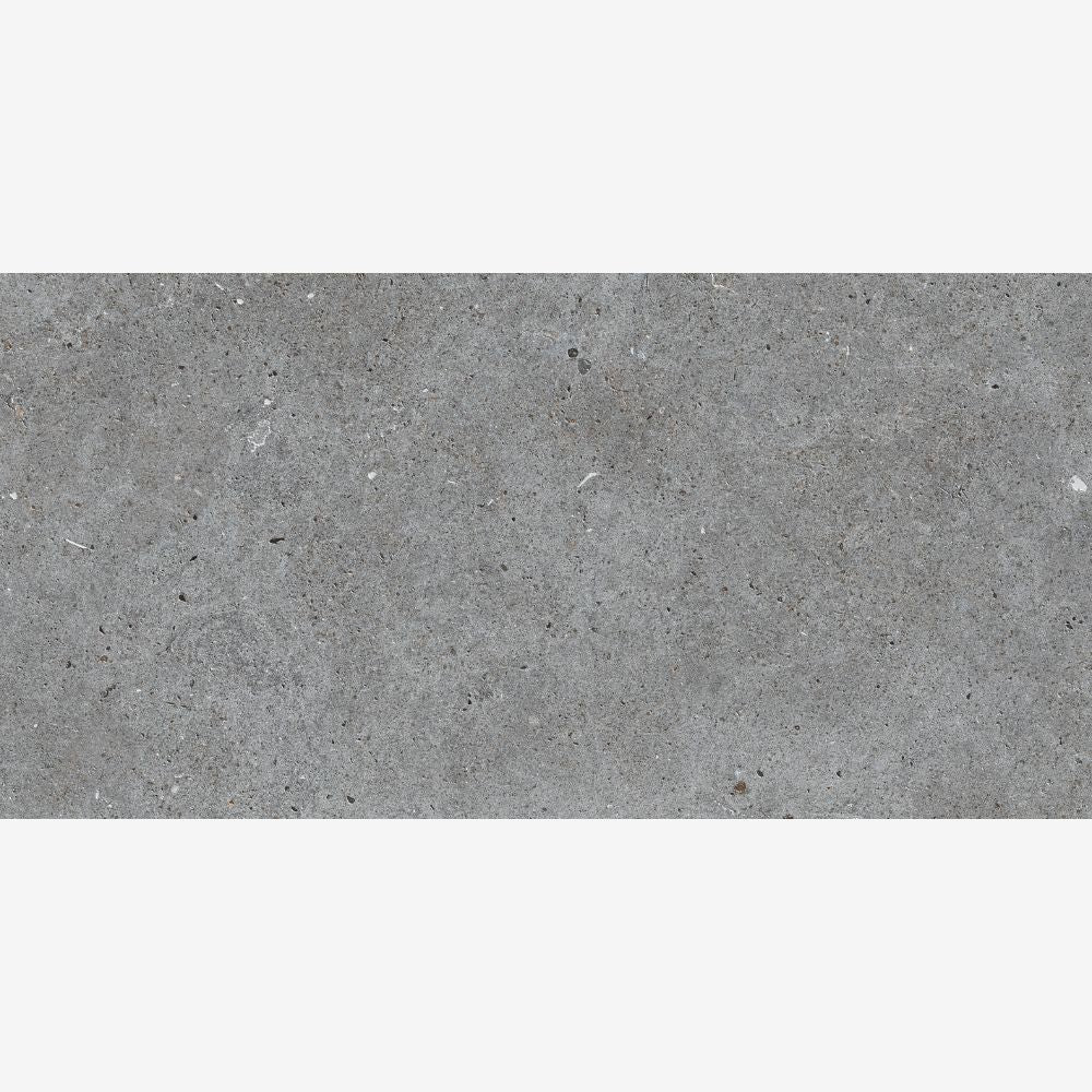 Salamanca Graphite 24x48 Basalt Look Porcelain Tile
