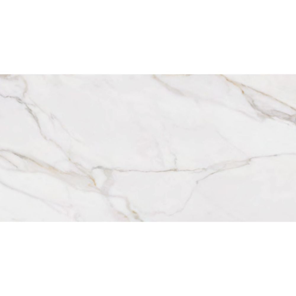 Orovia PO 12x24 Porcelain Tile