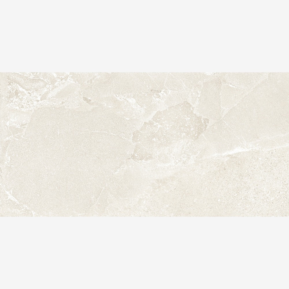 Alvion Arena 12x24 R Porcelain Tile Matte
