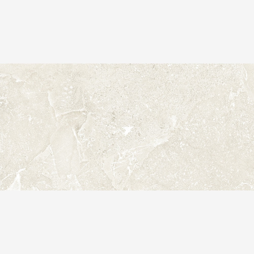 Alvion Arena 24x48 R Porcelain Tile Matte