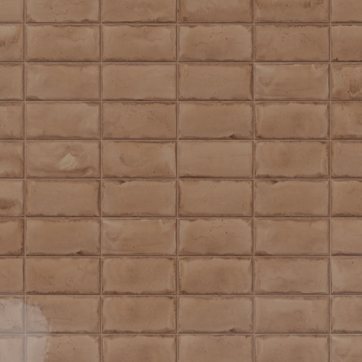Verdure Terra 3x6 Glossy Ceramic Tile