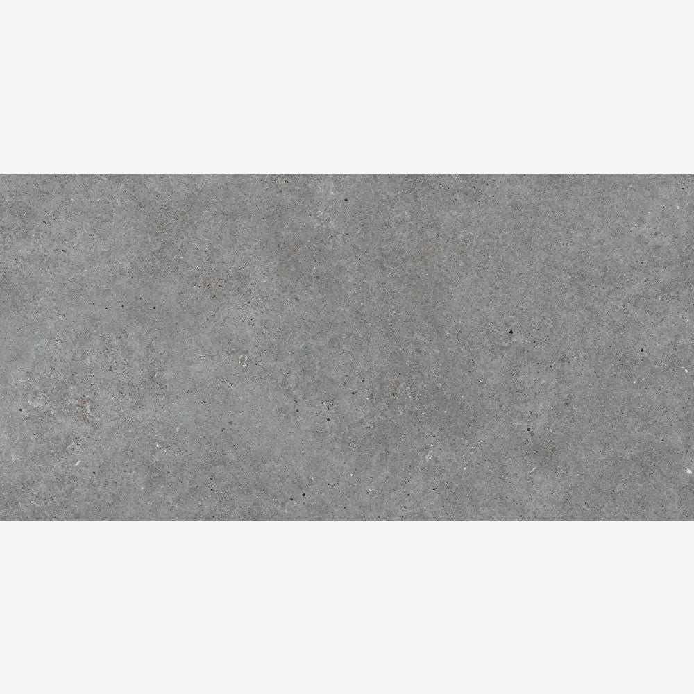 Salamanca Graphite 24x48 Basalt Look Porcelain Tile