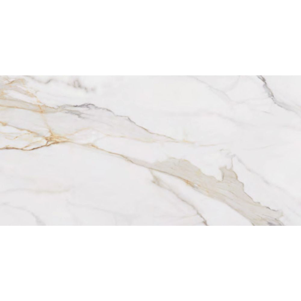 Orovia PO 12x24 Porcelain Tile