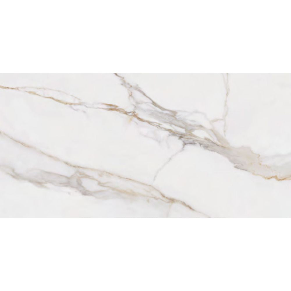 Orovia UP 24X48 Porcelain Tile