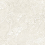 Load image into Gallery viewer, Alvion Arena 48x48 Porcelain Tile Matte
