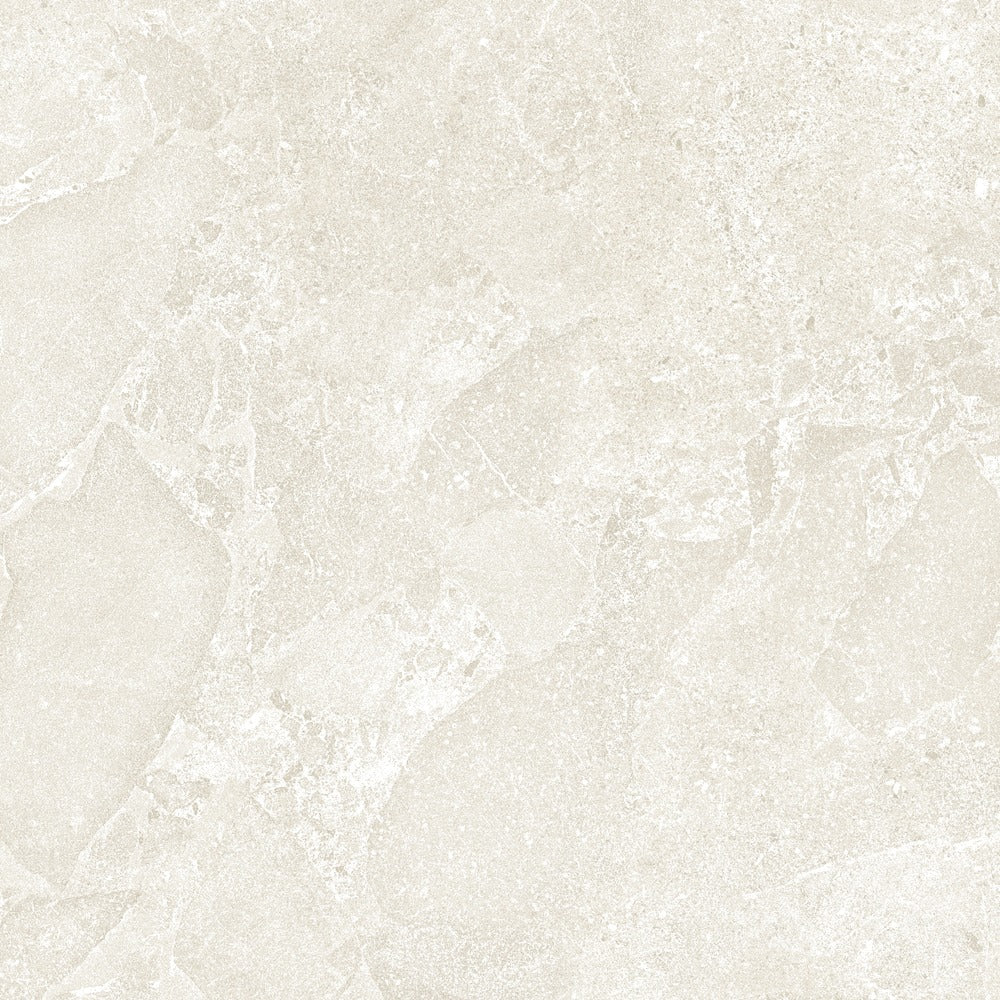 Alvion Arena 24x24 R Porcelain Tile Matte