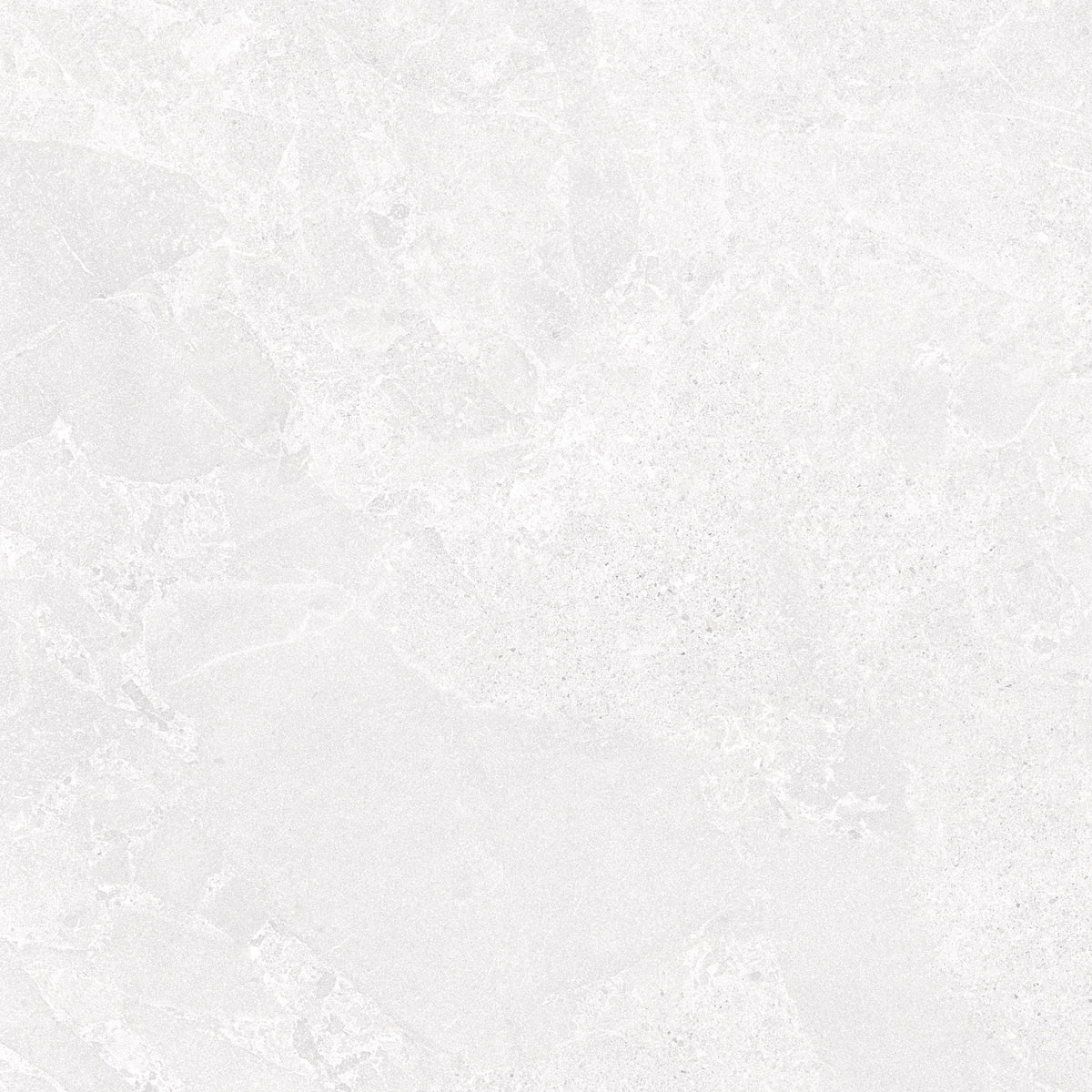 Alvion Blanco 24x24 R Porcelain Tile Matte
