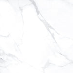 Load image into Gallery viewer, Emporio Statuario Matte 24x24 Marble Porcelain Tile
