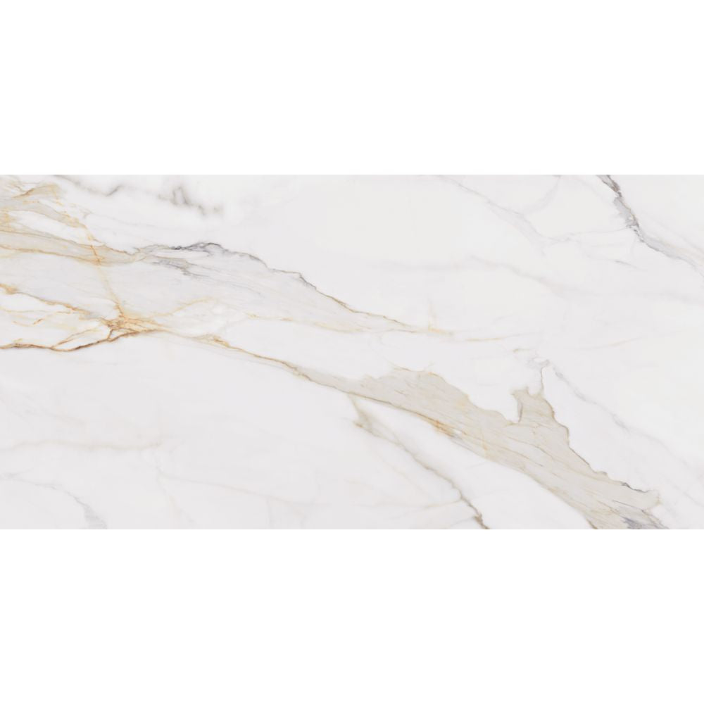 Orovia UP 12x24 Porcelain Tile
