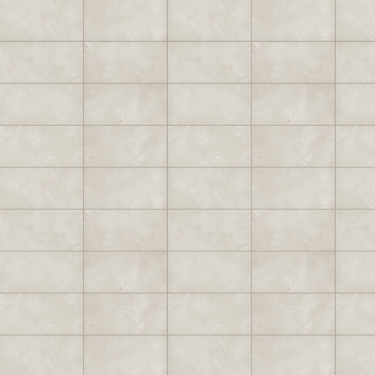 Alvion Arena 12x24 R Porcelain Tile Matte
