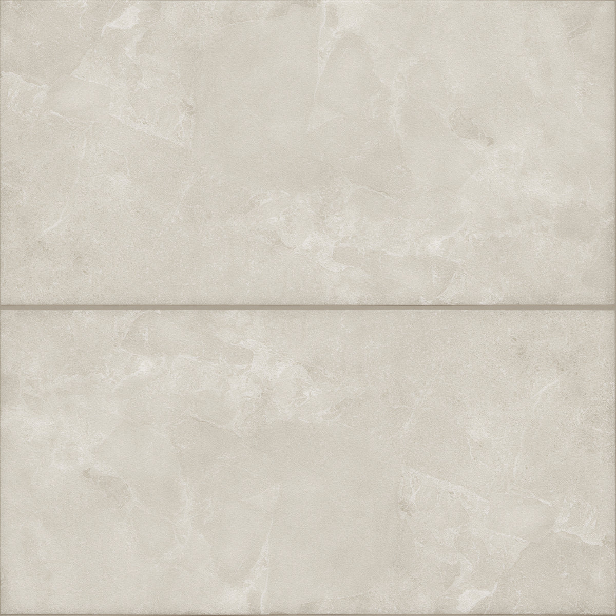 Alvion Arena 24x48 R Porcelain Tile Matte