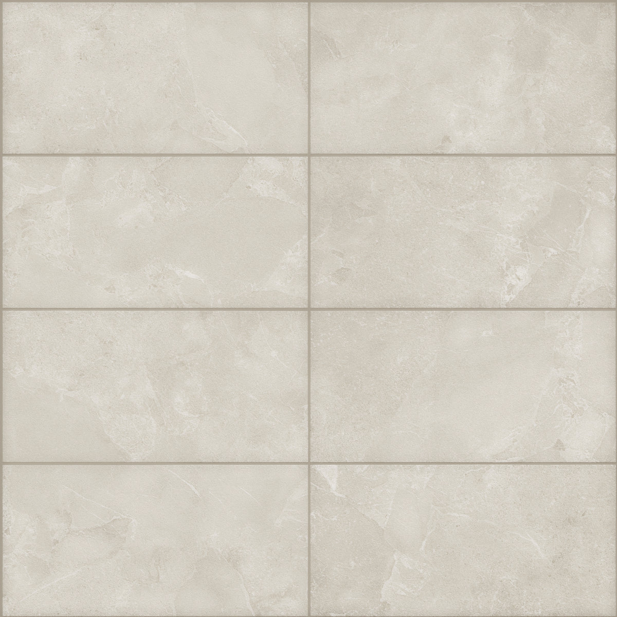 Alvion Arena 24x48 R Porcelain Tile Matte