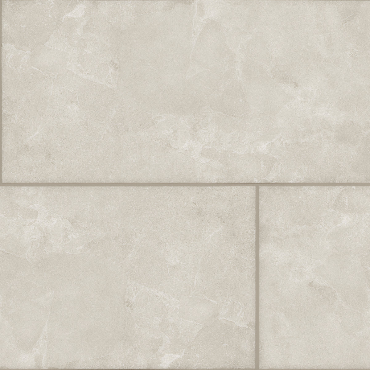 Alvion Arena 24x48 R Porcelain Tile Matte