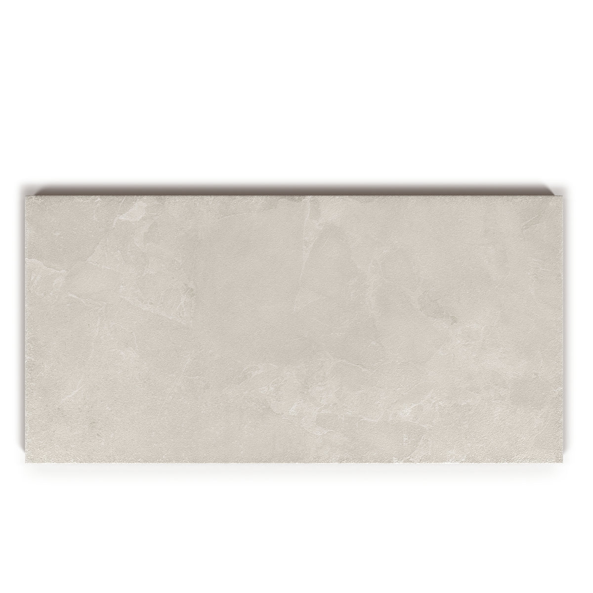 Alvion Arena 24x48 R Porcelain Tile Matte