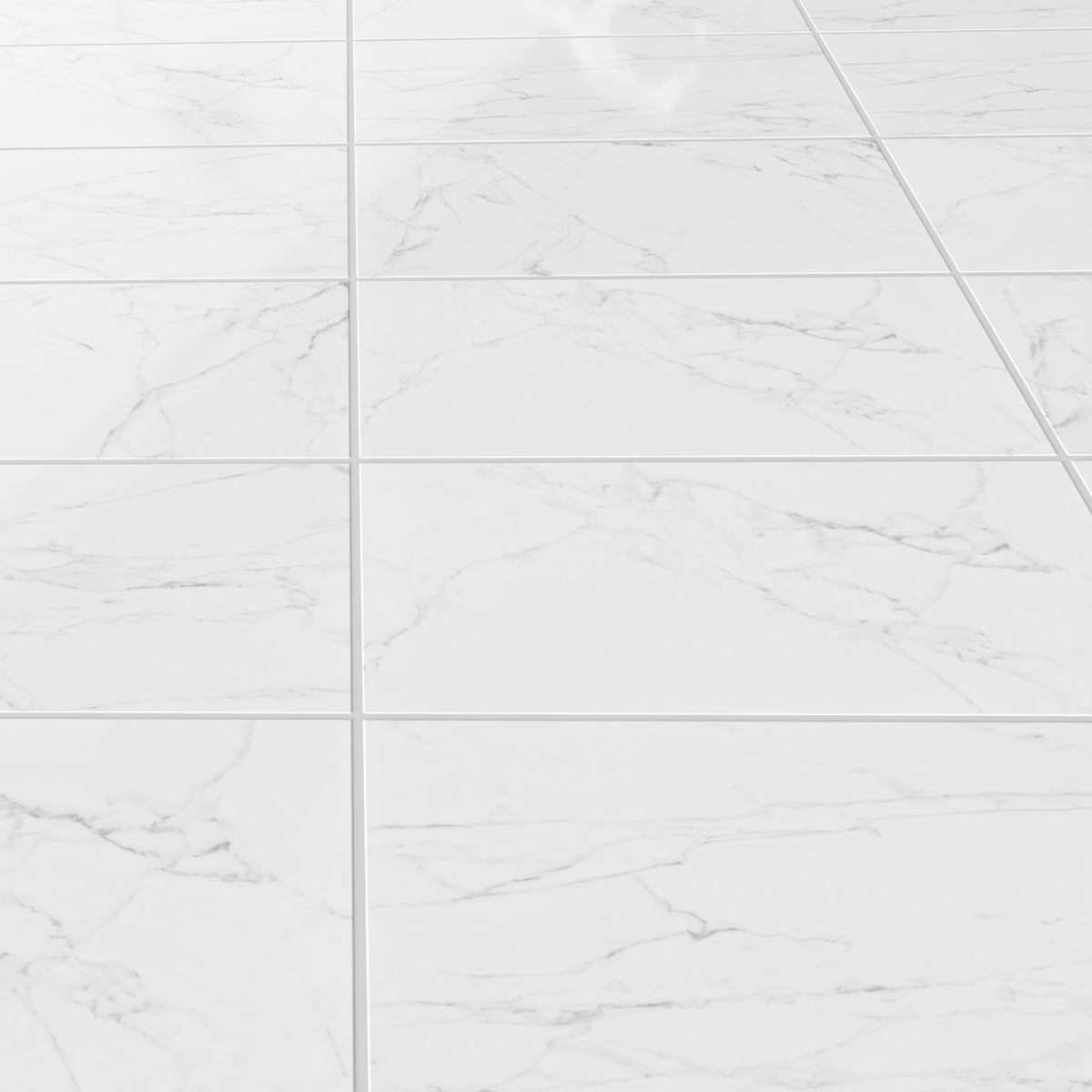 Eterna Carrara 24x48 Polished/Honed Porcelain Tile