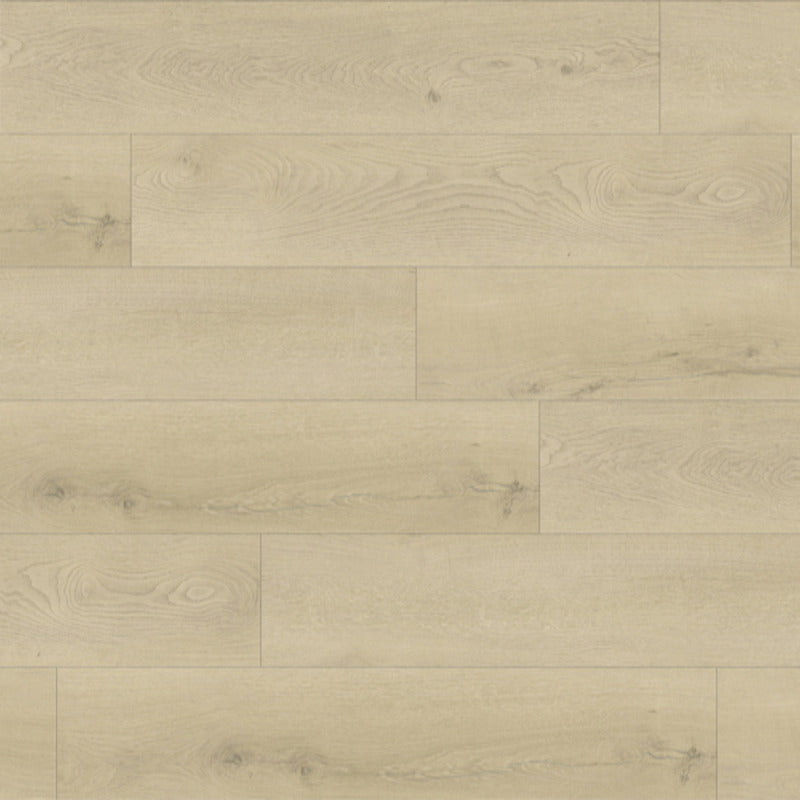 Lirienne Bleached 7x48 SPC Luxury Vinyl Plank