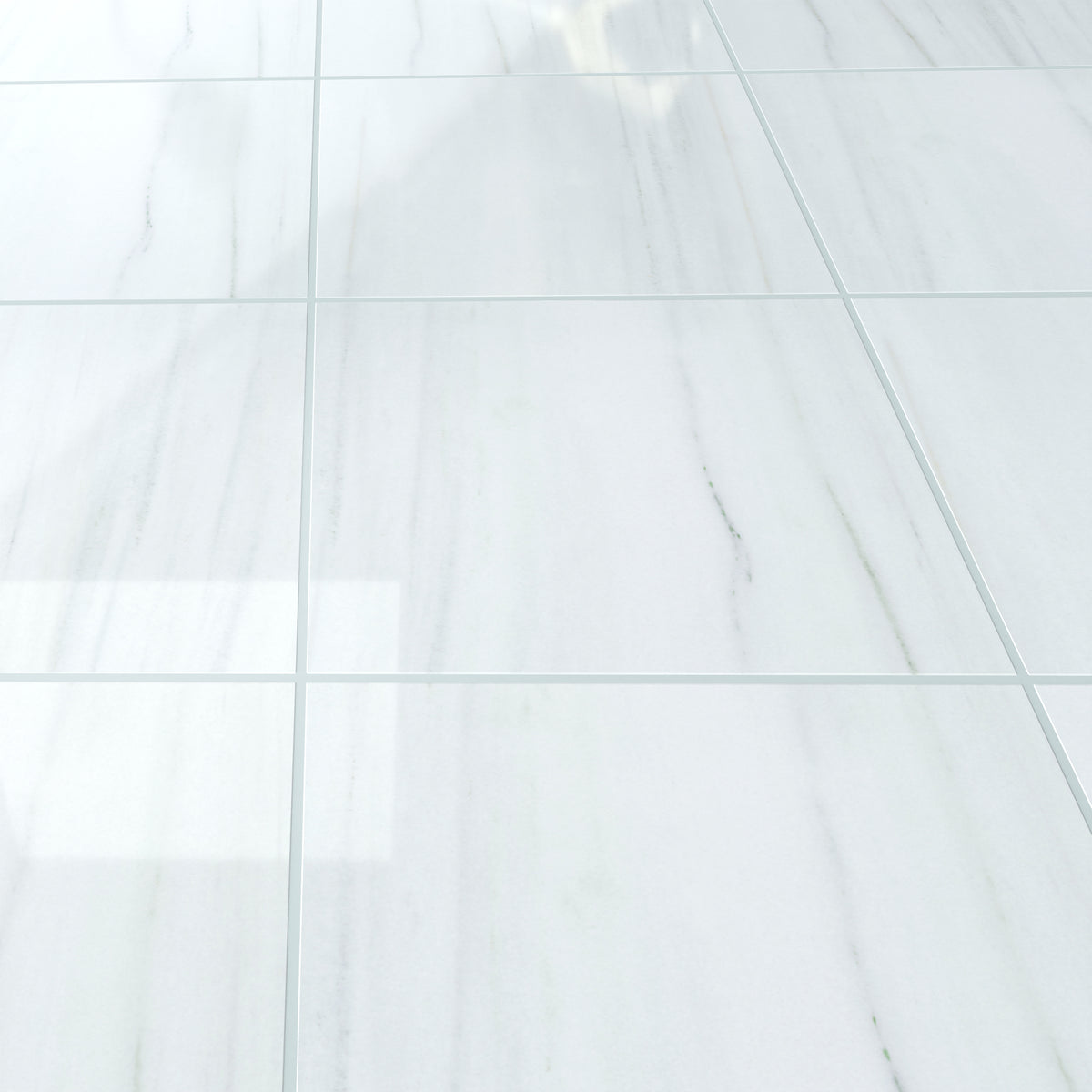 Eterna Calacatta Sailo 48x48 Polished/Honed Porcelain Tile