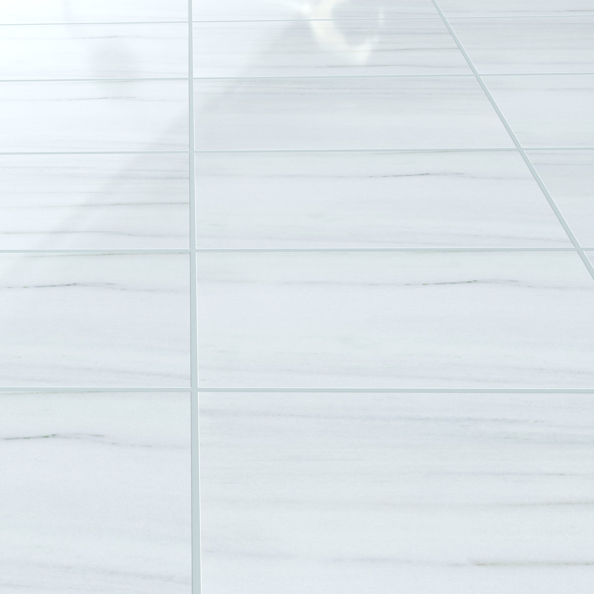 Eterna Calacatta Sailo 24x48 Polished/Honed Porcelain Tile