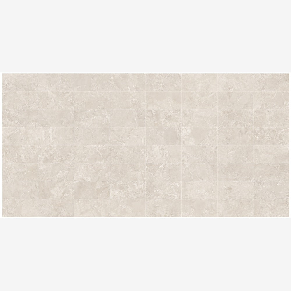 Alvion Arena 24x48 R Porcelain Tile Matte