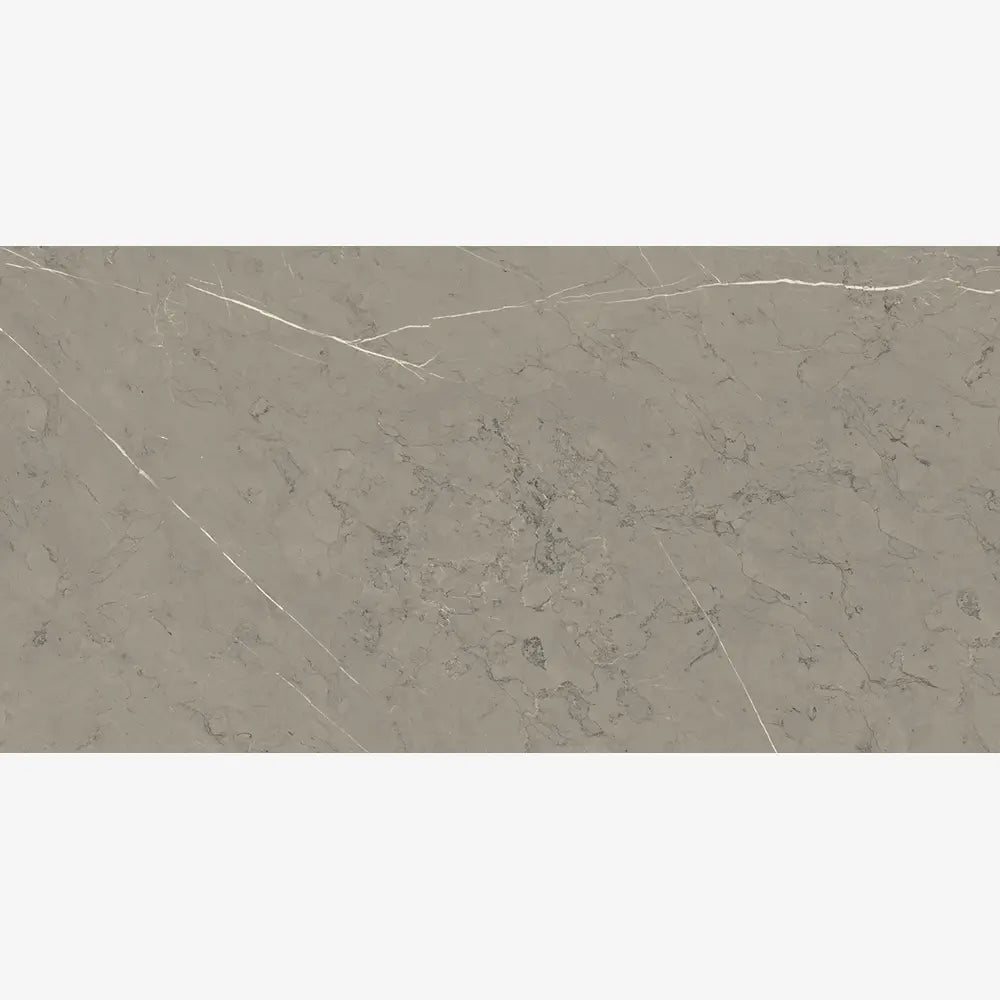 Willow Smoke 12x24 R Porcelain Tile Matte/Polished