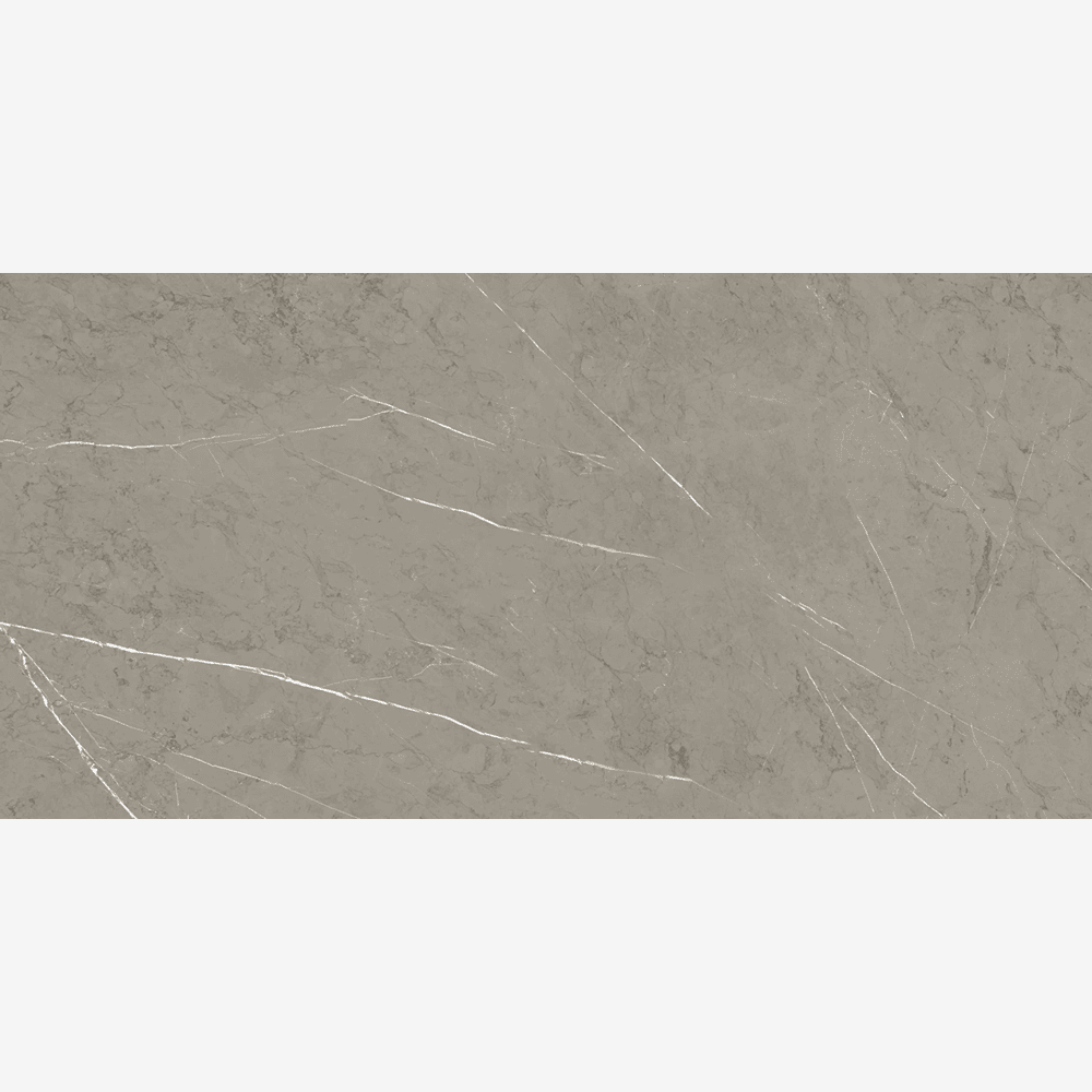 Willow Smoke 24x48 R Porcelain Tile Matte/Polished