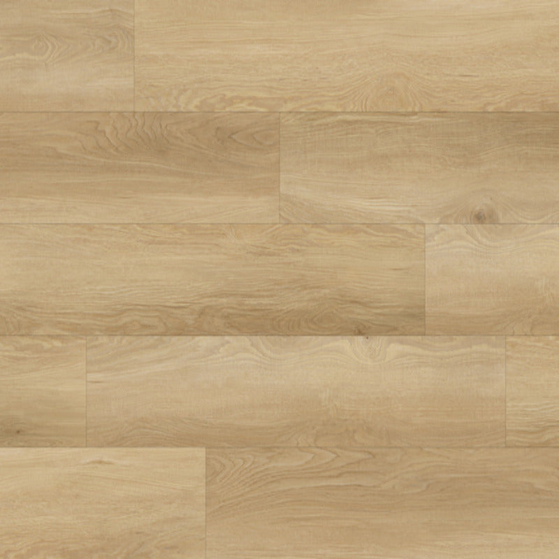 Ellrowe Oak 7x48 20MIL Glue Down Luxury Vinyl Plank