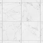 Load image into Gallery viewer, Eterna Carrara 48x48 Porcelain Tile
