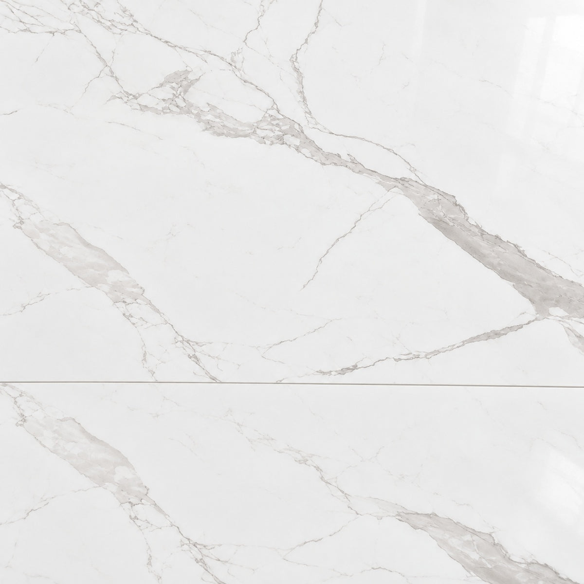 Alpine White Marble 24x48 R Porcelain Tile Polished — close-up visualization