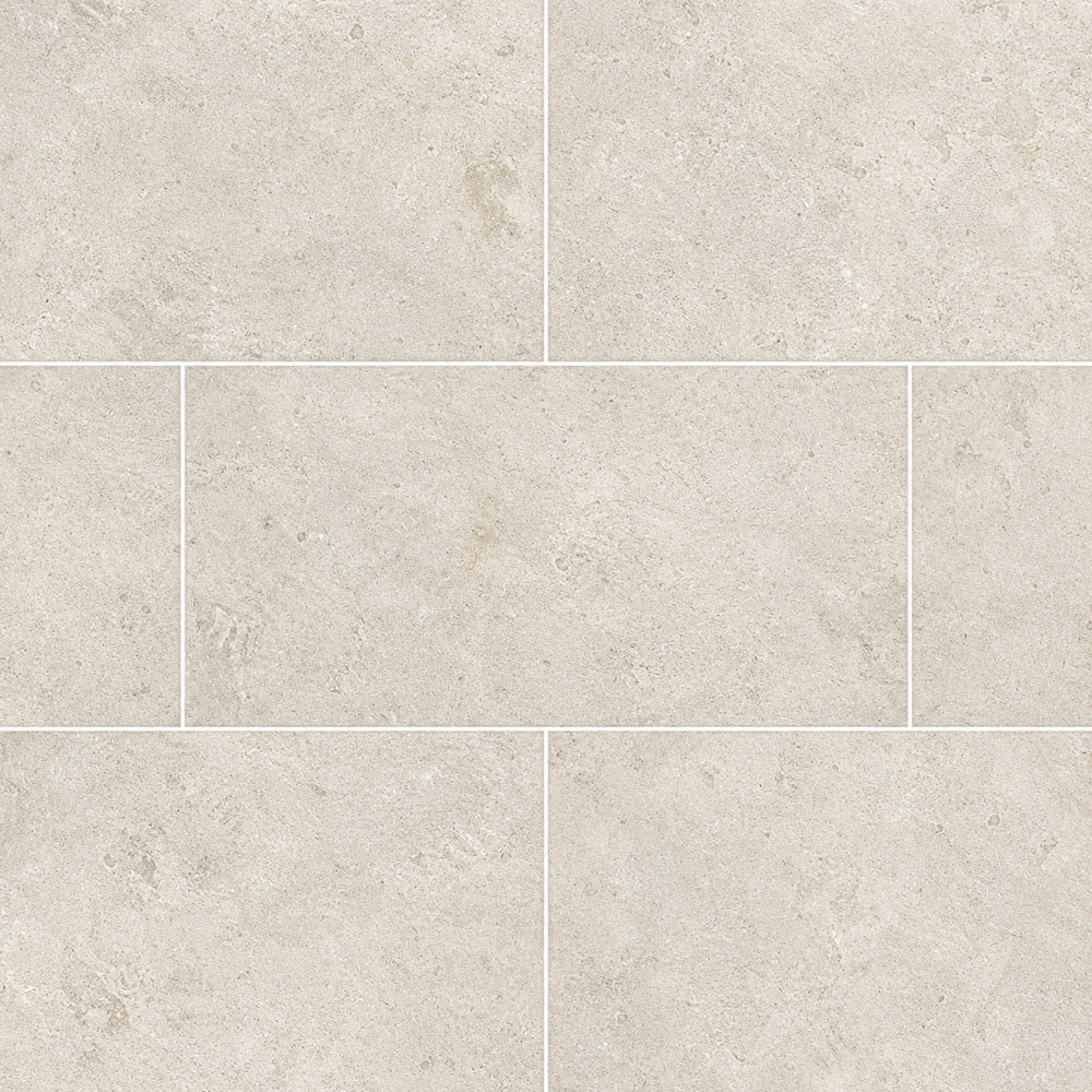 Ashtone Arena 12x24 R Porcelain Tile — straight-on large-scale close-up