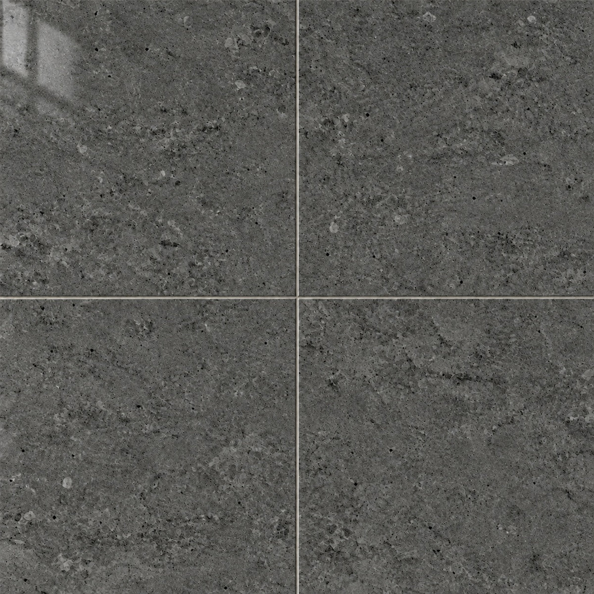 Astral Antracita 24x24 R Porcelain Tile Polished — close-up visualization