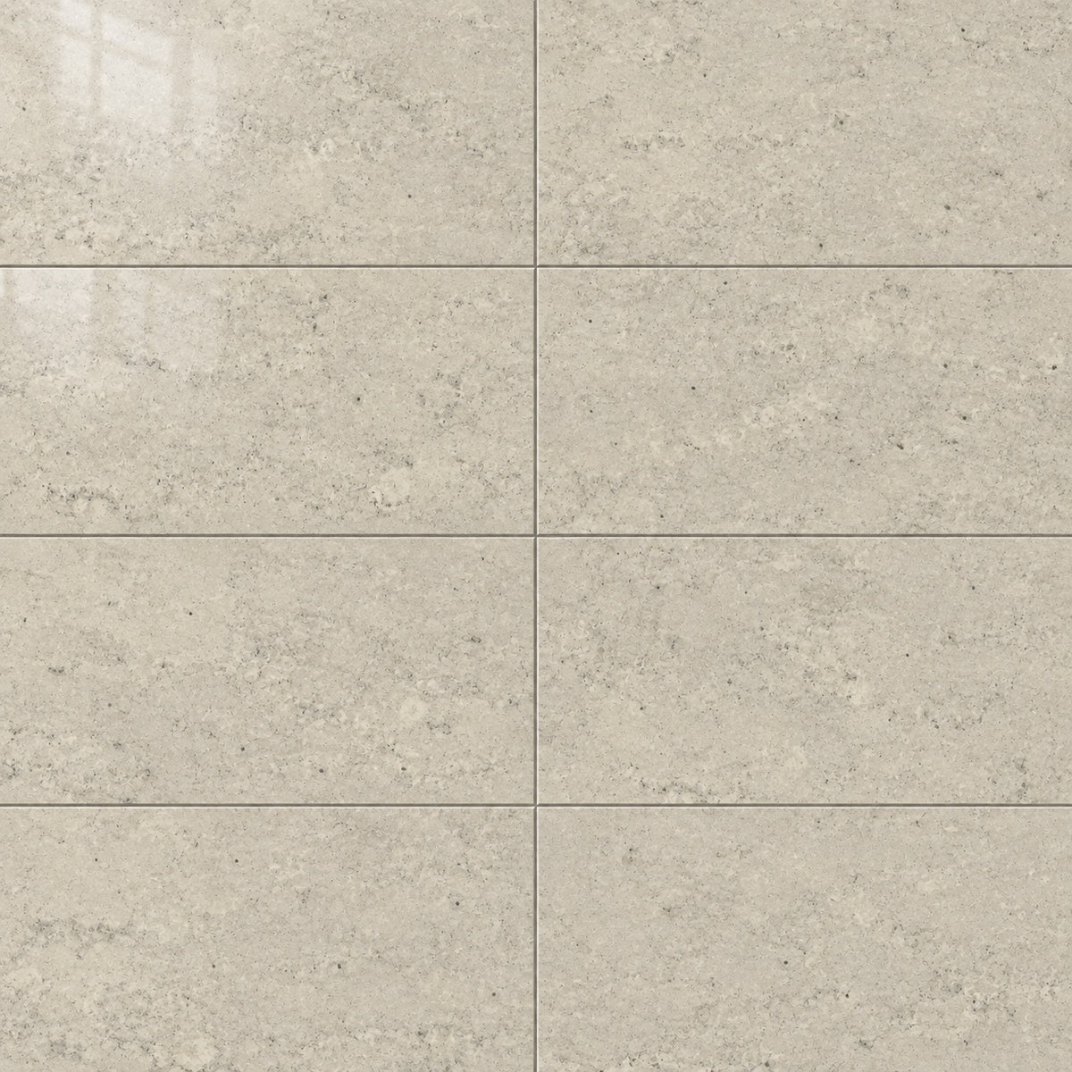 Astral Gris 12x24 R Porcelain Tile Polished — close-up visualization