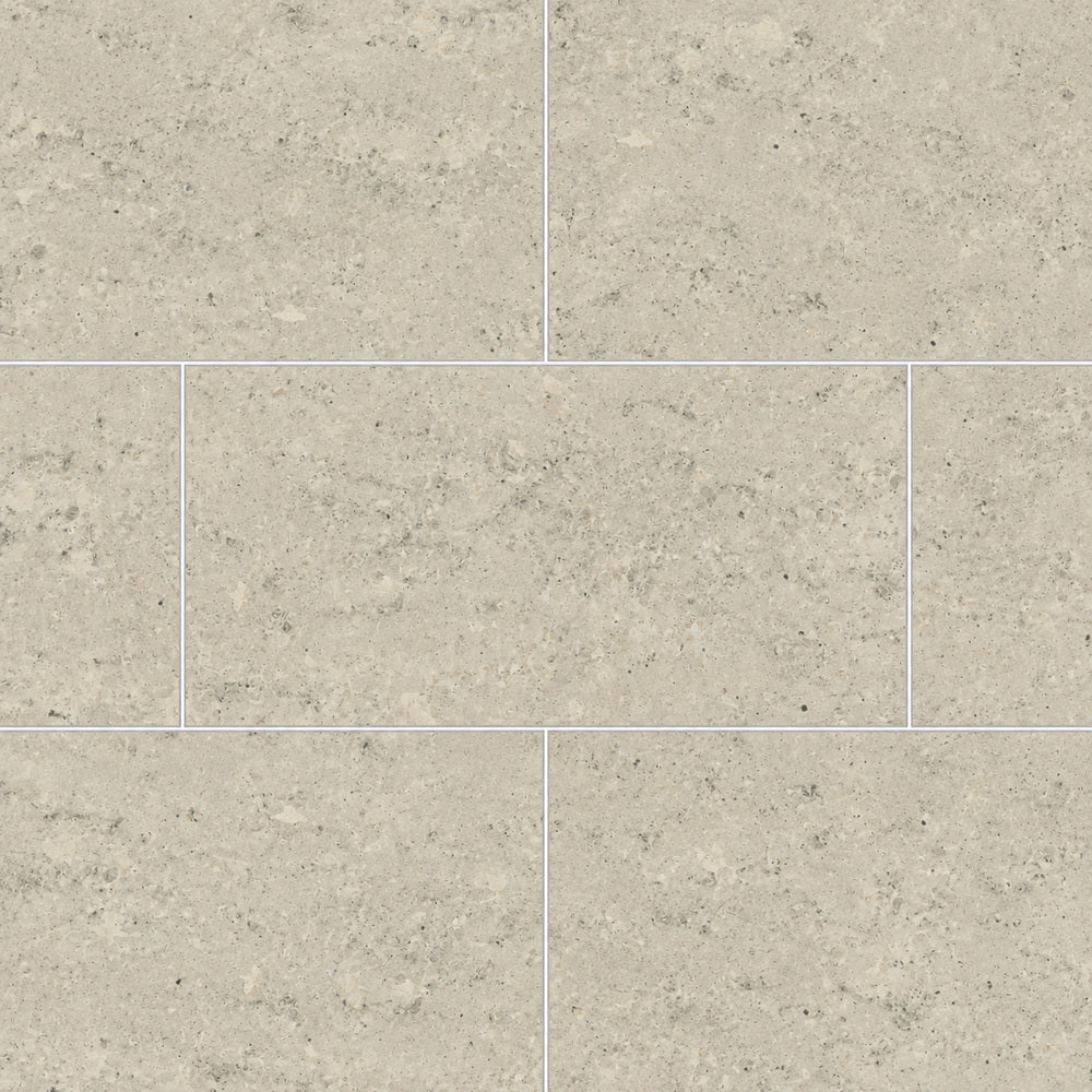 Astral Gris 12x24 R Porcelain Tile Polished — straight-on large-scale close-up