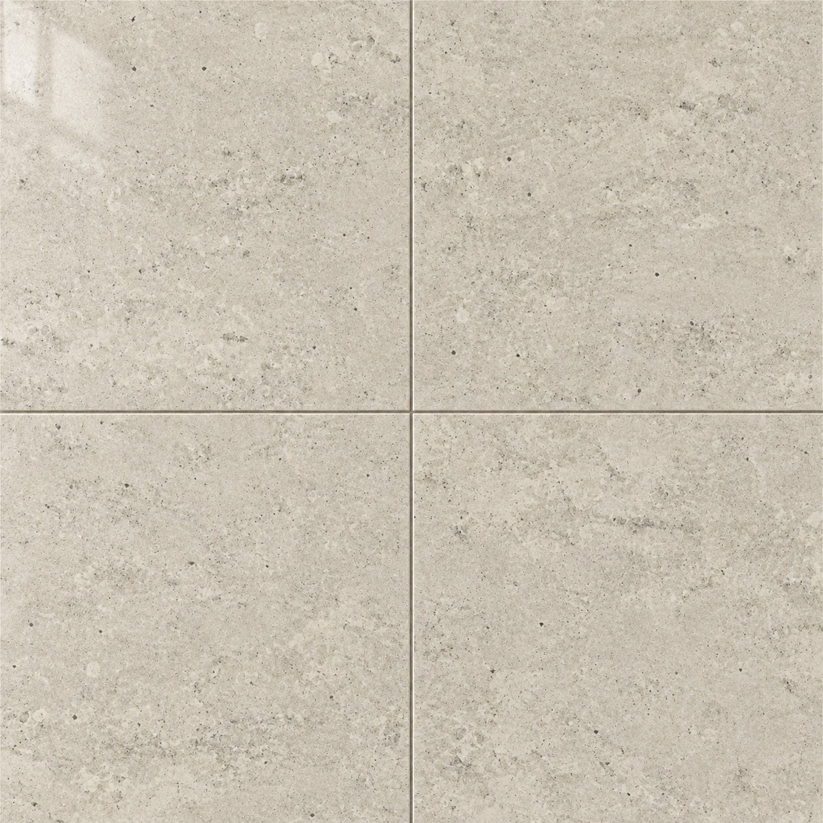 Astral Gris 24x24 R Porcelain Tile Polished — close-up visualization