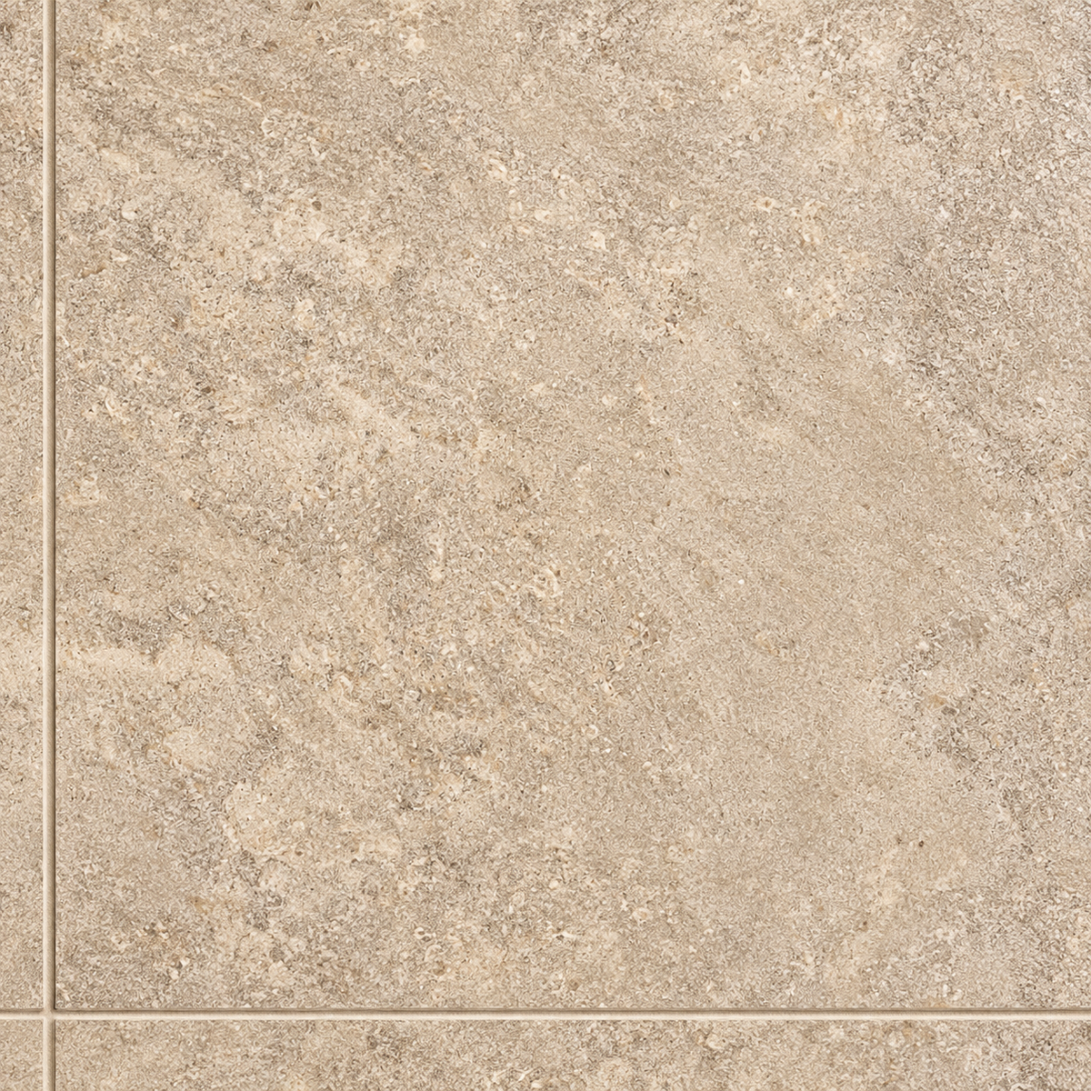 Liora Moka Crosscut 12x24 porcelain tile — matte tile surface detail visualization