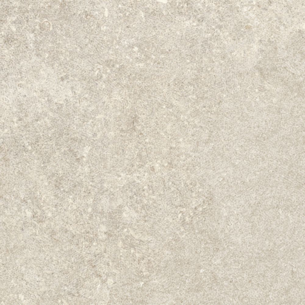 Liora Bone Crosscut 48x48 R Porcelain Tile