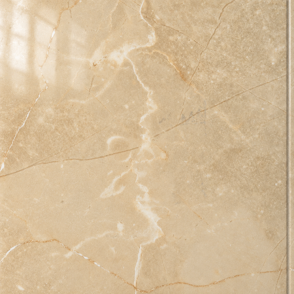 seda crema detail