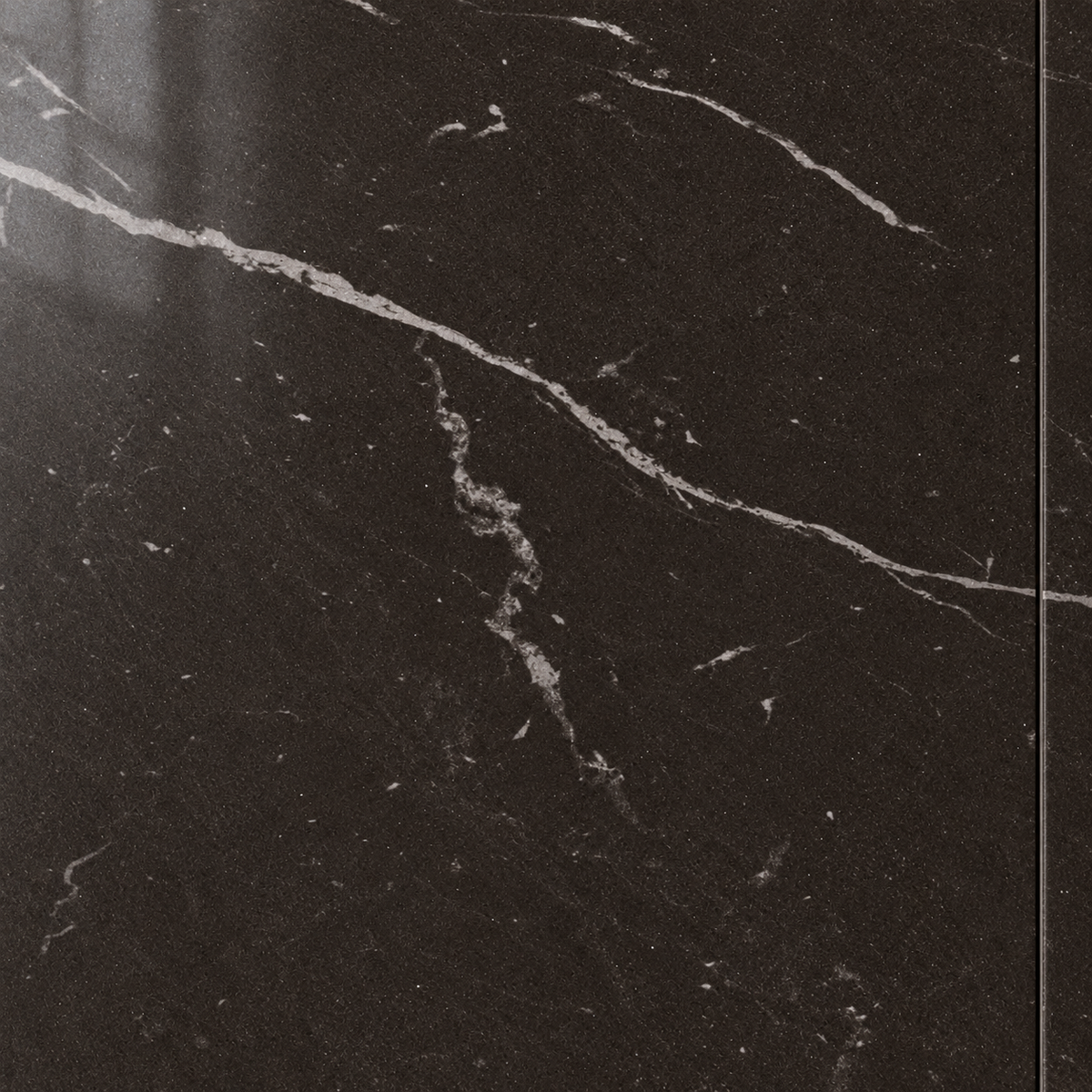seda noite detail