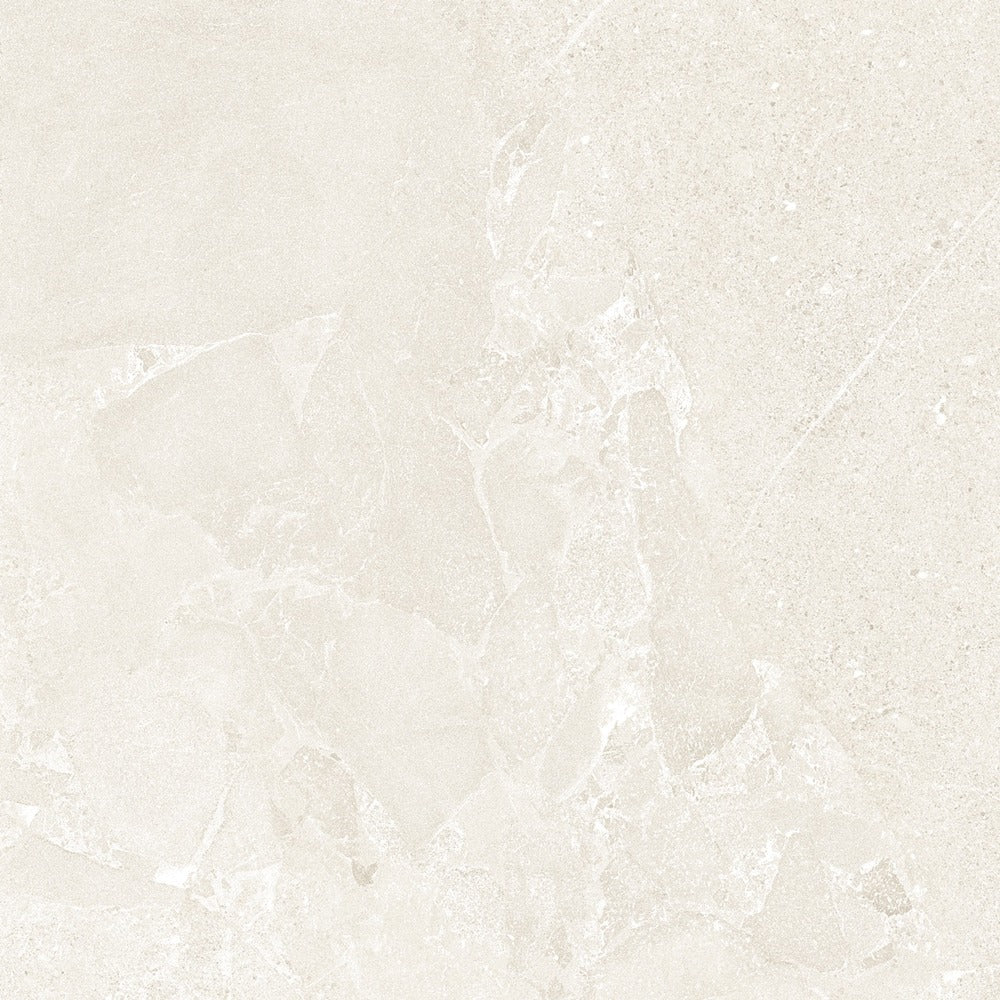 Alvion Arena 48x48 Porcelain Tile Matte