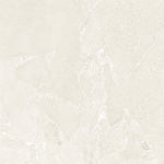 Load image into Gallery viewer, Alvion Arena 48x48 Porcelain Tile Matte
