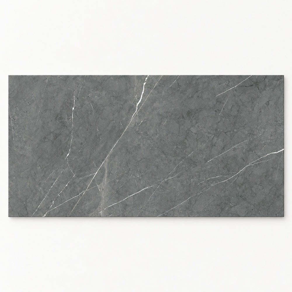 Willow porcelain tile silver24 single