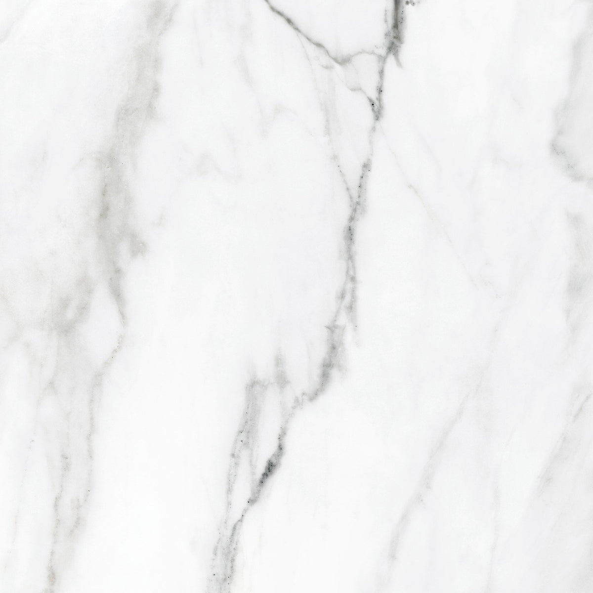 Roca Tile Statuary 24x24 Porcelain Tile Matte Tilezz 