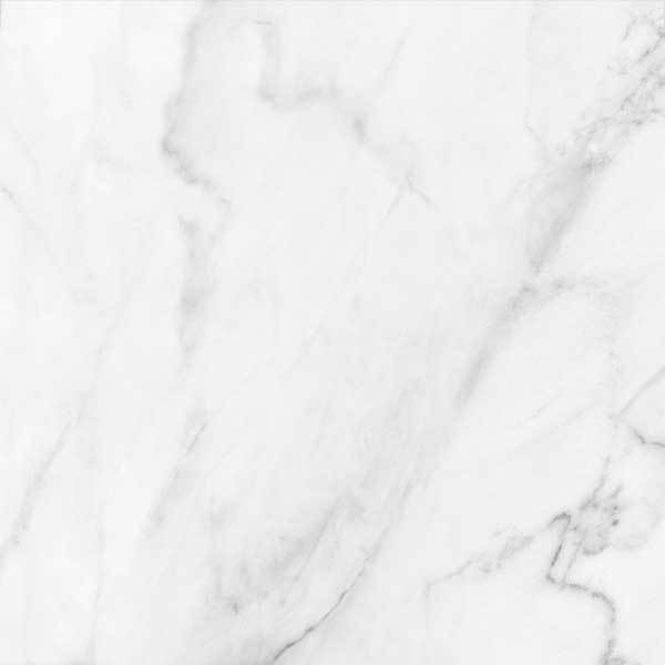 Roca Tile Statuary 24x24 Porcelain Tile Matte Tilezz 
